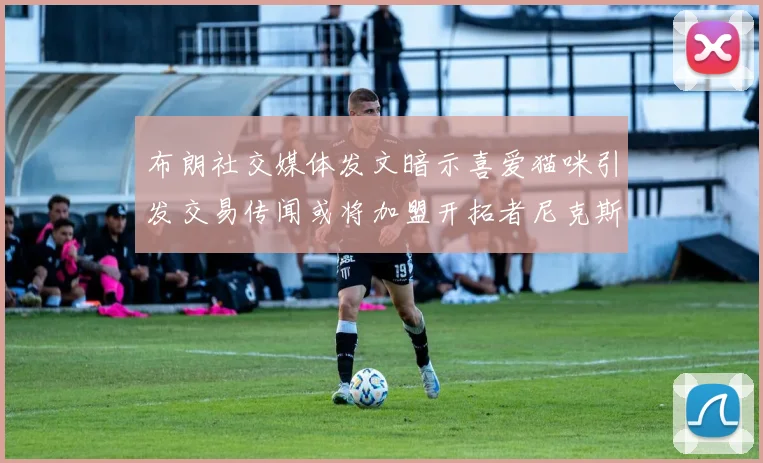 布朗社交媒体发文暗示喜爱猫咪引发交易传闻或将加盟开拓者尼克斯雷霆湖人