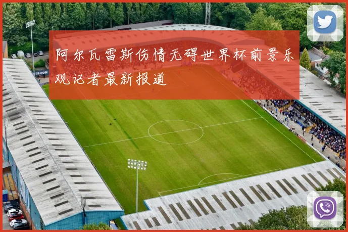 阿尔瓦雷斯伤情无碍世界杯前景乐观记者最新报道