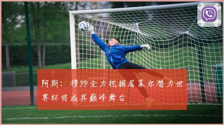 阿斯：穆帅全力挖掘居莱尔潜力世界杯将成其巅峰舞台